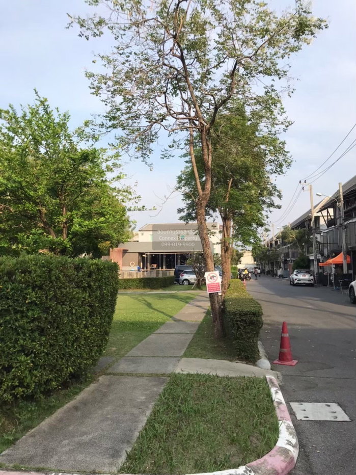 รูป เช่าทาวน์เฮ้าส์/ทาวน์โฮม  อารียา เดลี่ เกษตร-นวมินทร์ จรเข้บัว เขต ลาดพร้าว กรุงเทพ CX-150088 ✅ ทักไลน์ @connexproperty ตอบทันที ทีมงานมืออาชีพ ✅ - รูปที่ 3/12