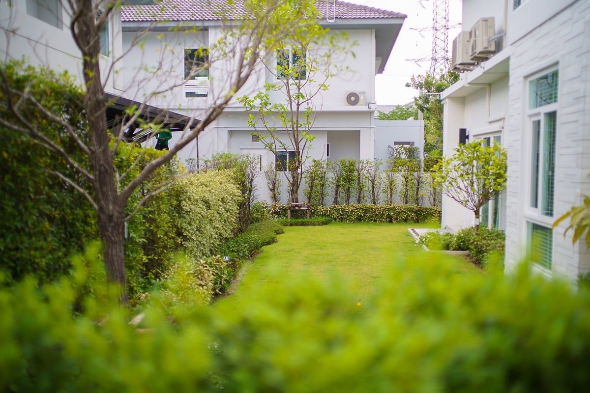 รูป 🏡 ให้เช่าบ้านเดี่ยว 2 ชั้น โครงการ Mantana บางนา–วงแหวน (รามคำแหง 2) ✨ บ้านสวย ฟังก์ชันครบ ทำเลบางนาสุดฮิต ใกล้เมกะบางนา เข้าเมืองง่าย - รูปที่ 10/13