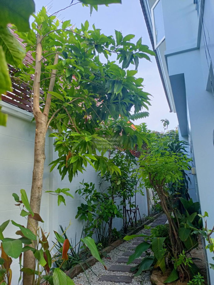 รูป ขายบ้าน  เสนา วิลล์ รามอินทรา ท่าแร้ง เขต บางเขน กรุงเทพ CX-150678 ✅ ทักไลน์ @connexproperty ตอบทันที ทีมงานมืออาชีพ ✅ - รูปที่ 7/12