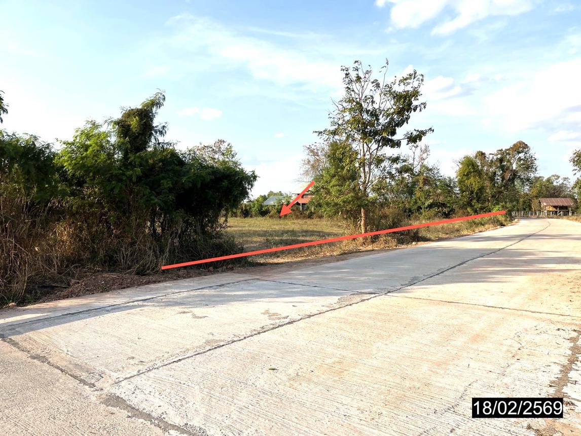 รูป ที่ดินว่างเปล่า 6261 ตร.วา หนองกุงศรี กาฬสินธุ์ 5M - รูปที่ 11/22