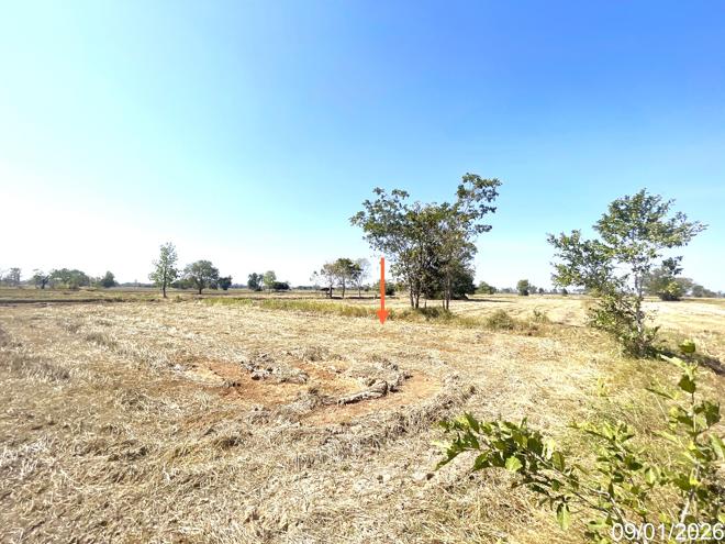 picture LAND 7444 Sq.w. Na Pho Buri Ram for 4.1M - 5/16