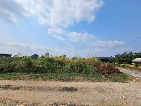 ขายที่ดินเปล่า แปลงมุม  ติดถนน 2 ด้าน ซอยวัดศรีวารีน้อย  อำเภอบางเสาธง สมุทรปราการ
