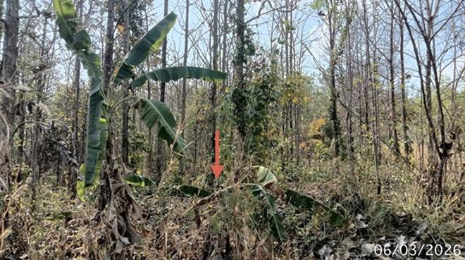 picture LAND 8000 Sq.w. Wang Chin Phrae for 2.1M - 8/22