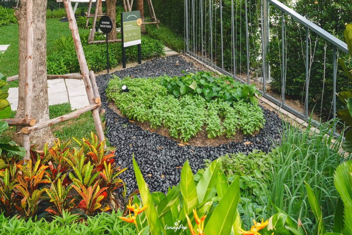 รูป 🔥 ห้องสุดท้าย!! ดีคอนโดเซนส์ บางแสน ราคาพิเศษ 1.99 ห้องใหญ่ 28ตร.ม แต่งครบพร้อมอยู่ 🔥 - รูปที่ 13/17