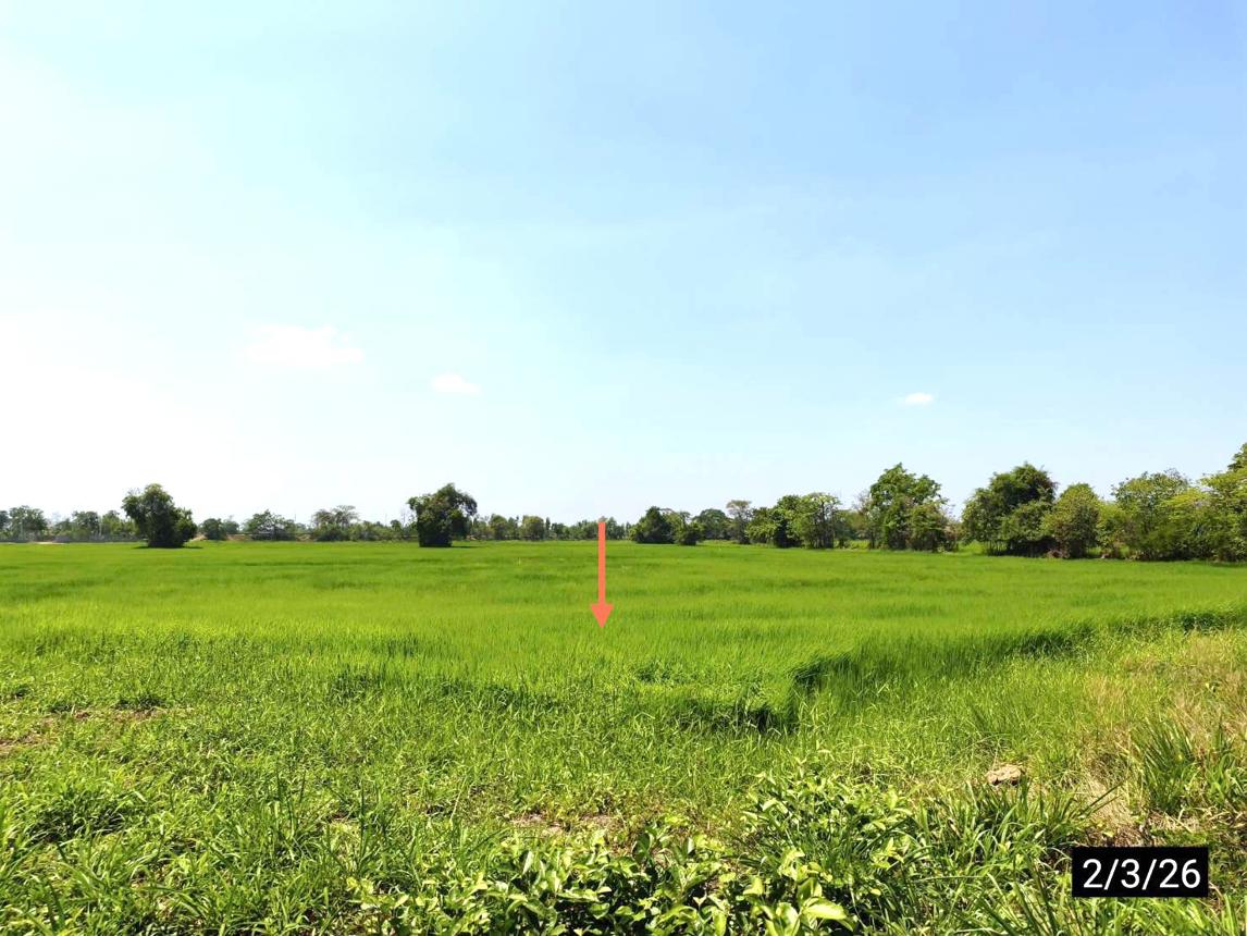 รูป ที่ดินว่างเปล่า 10482.6 ตร.วา เมืองกาฬสินธุ์ กาฬสินธุ์ 13.1M - รูปที่ 12/16