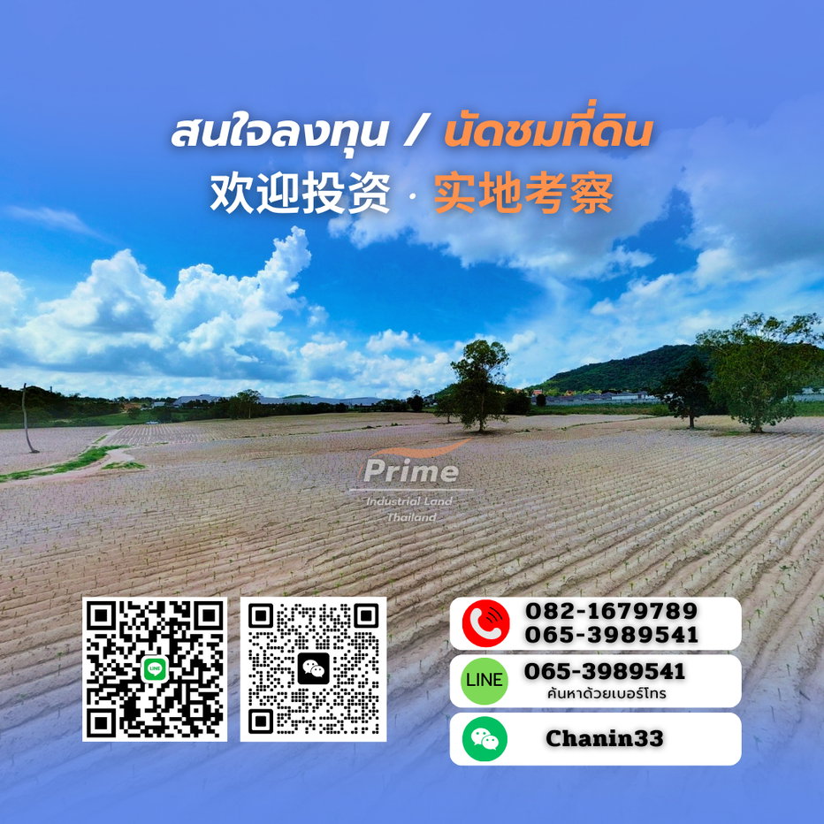 รูป ขายที่ดินสวย ทำเลดี แหล่งนิคมอุตสาหกรรม จ.ระยอง - รูปที่ 8/8