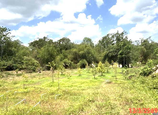 picture LAND 250 Sq.w. Hat Yai Songkhla for 1.9M - 1/16