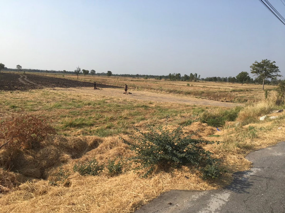 รูป งดรับนายหน้า📌📌📌 🔥 ด่วน! ที่ดินทำเลทองลพบุรี ติดถนนใหญ่ 4 เลน หน้าแปลง 🔥 - รูปที่ 9/16