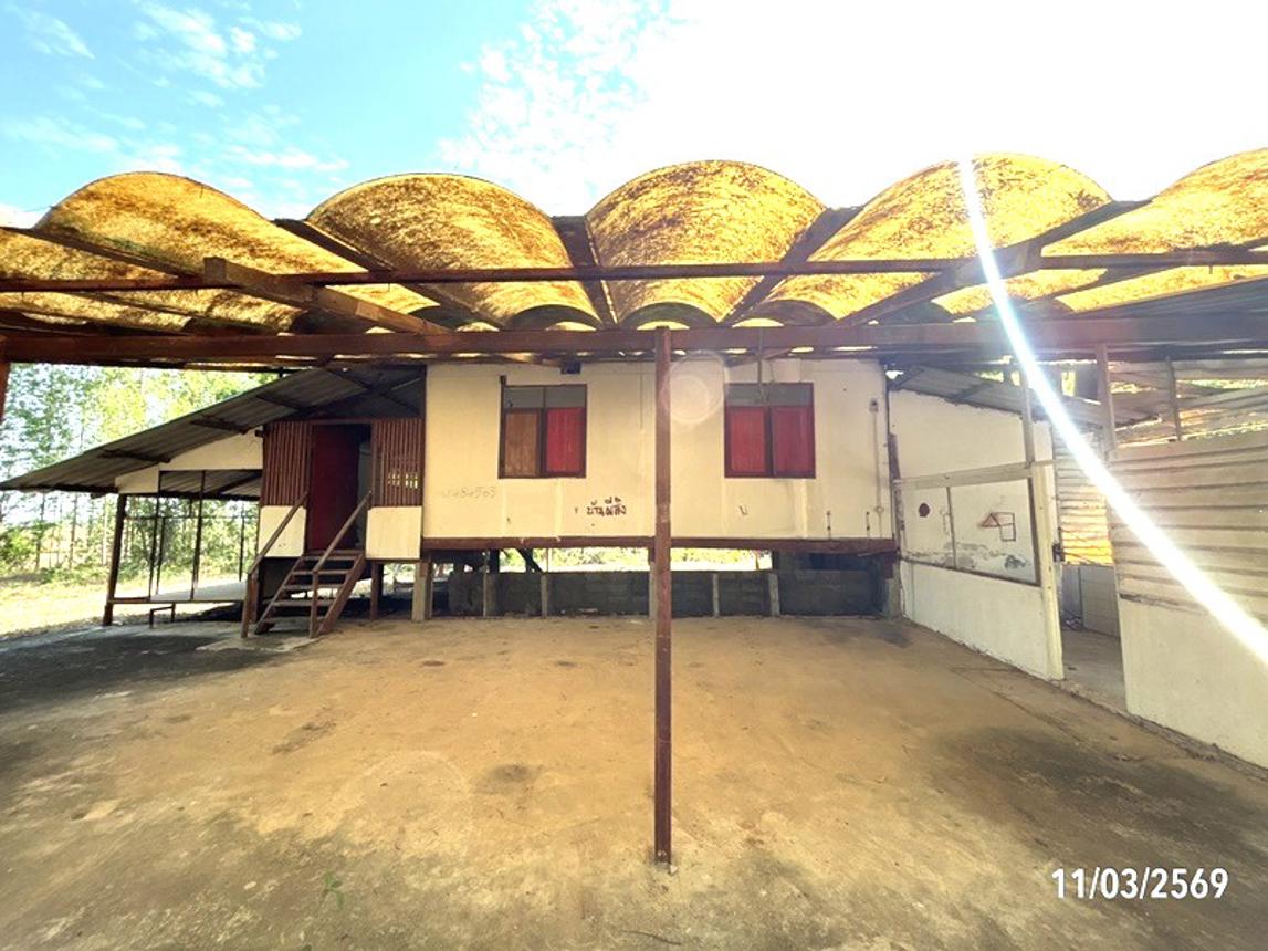 รูป บ้านเดี่ยว 3759 ตร.วา พิมาย นครราชสีมา 1.9M - รูปที่ 16/26
