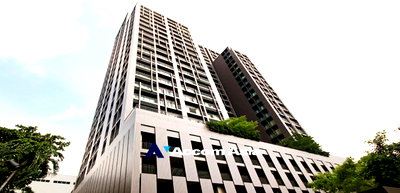 คอนโดให้เช่า : 🔼🔽 AccomA 📩 Noble Reveal Condominium