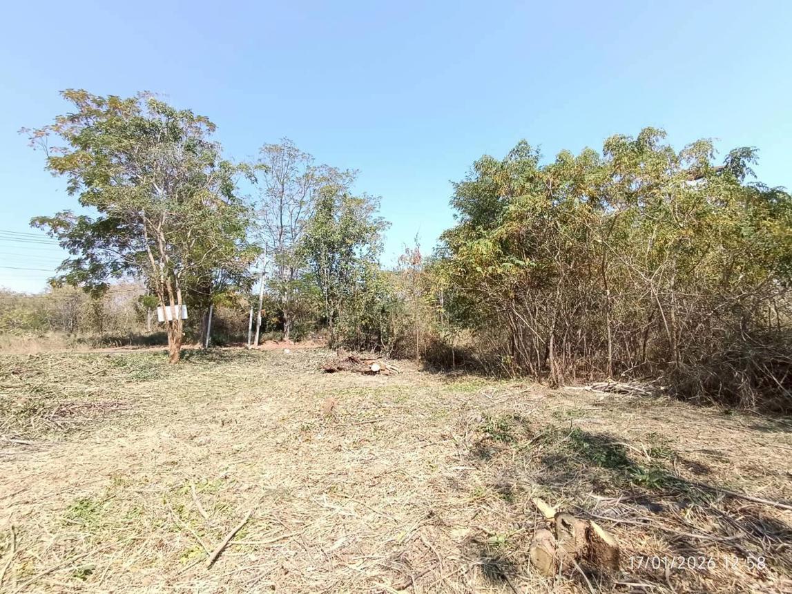 รูป ที่ดินว่างเปล่า 217.6 ตร.วา หัวหิน ไฮแลนด์ ซีวิว หัวหิน ประจวบคีรีขันธ์ 5M - รูปที่ 20/32