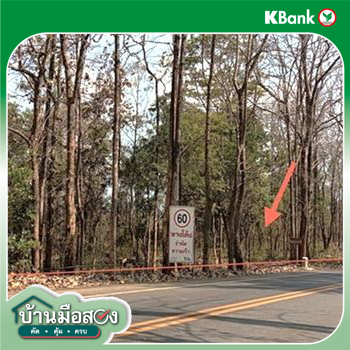 picture LAND 8000 Sq.w. Wang Chin Phrae for 2.1M - 20/22