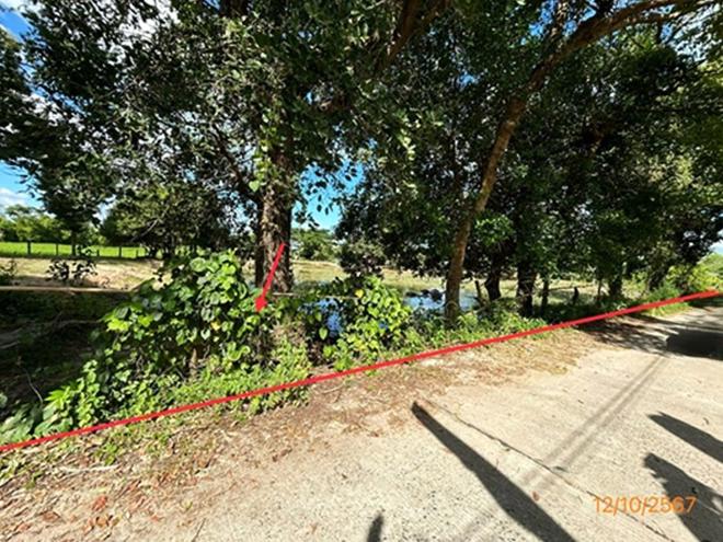 picture LAND 985 Sq.w. Khuang Nai Ubon Ratchathani for 1.2M - 3/18