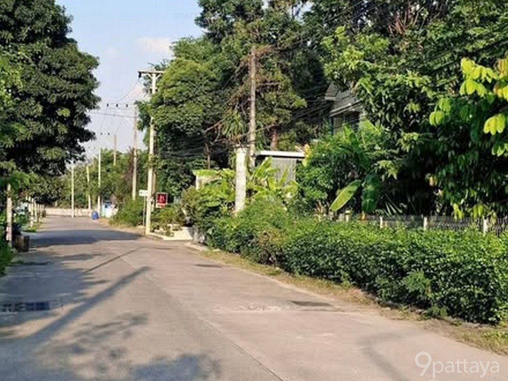 รูป บ้านเดี่ยวหรูใกล้ทะเล | พัทยาเหนือ สุขุมวิท 7 ✨ รับลมธรรมชาติจากทะเล เดินทางสะดวก ใจกลางเมือง บ้านสวย ทำเลพรีเมียม ใกล้ทะเลเพียง 300 เมตร 🌊 120 ตรว - รูปที่ 7/11