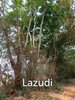 listing thumbnail image 10