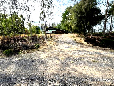 HOME 3759 Sq.w. Phimai Nakhon Ratchasima for 1.4M