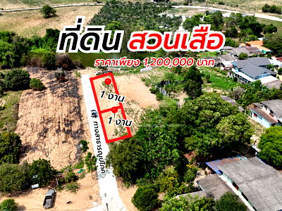 ที่ดิน ม.เกษตรศาสตร์ ศรีราชา : ขายที่ดิน 2 งาน ติดถนน สวนเสือ ศรีราชา