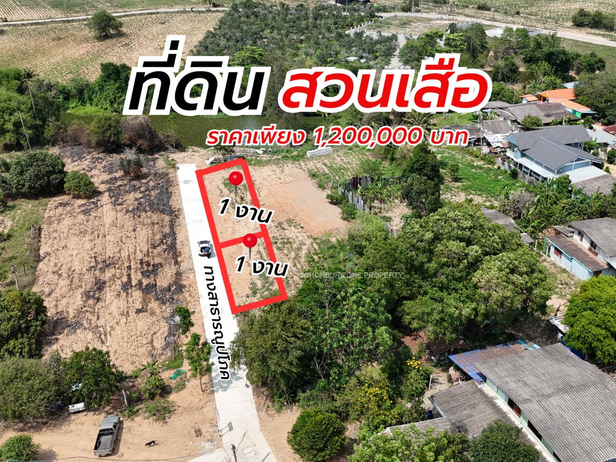 รูป ขายที่ดิน 2 งาน ติดถนน สวนเสือ ศรีราชา - รูปที่ 1/9