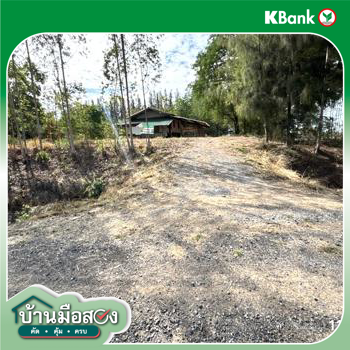 รูป บ้านเดี่ยว 3759 ตร.วา พิมาย นครราชสีมา 1.9M - รูปที่ 24/26