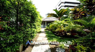 Houses for rent Soi Ekamai (Sukhumvit 63) : 🔼🔽 AccomA 📩 Pet friendly 2 BR House in Khlong Toei (1719251)