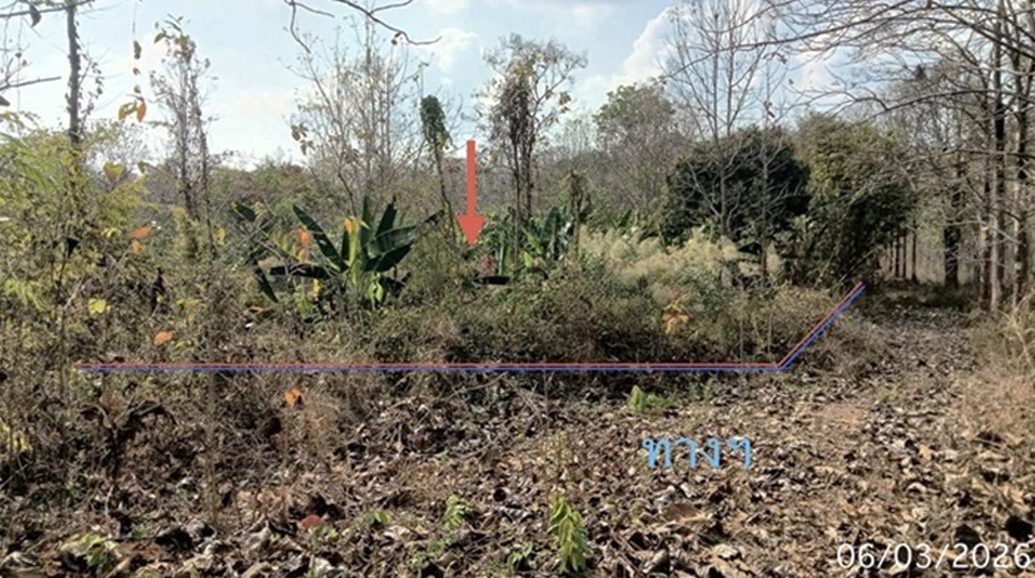 picture LAND 8000 Sq.w. Wang Chin Phrae for 2.1M - 12/22