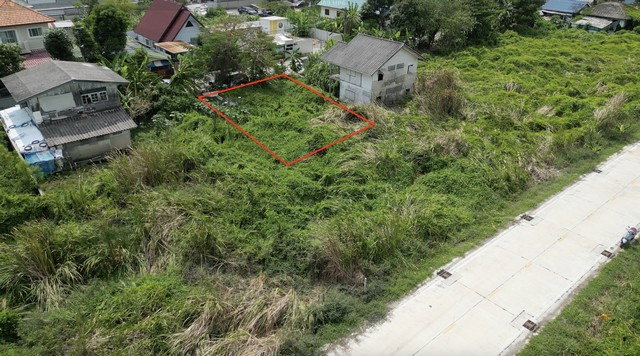 รูป [ขายด่วน!] ที่ดินสวยรังสิต-นครนายก 59 รังสิต-นครนายก คลองสองสร้างบ้านในฝันหรือโกดังทำเงิน ในราคาหลักล้านต้นๆ! - รูปที่ 4/8