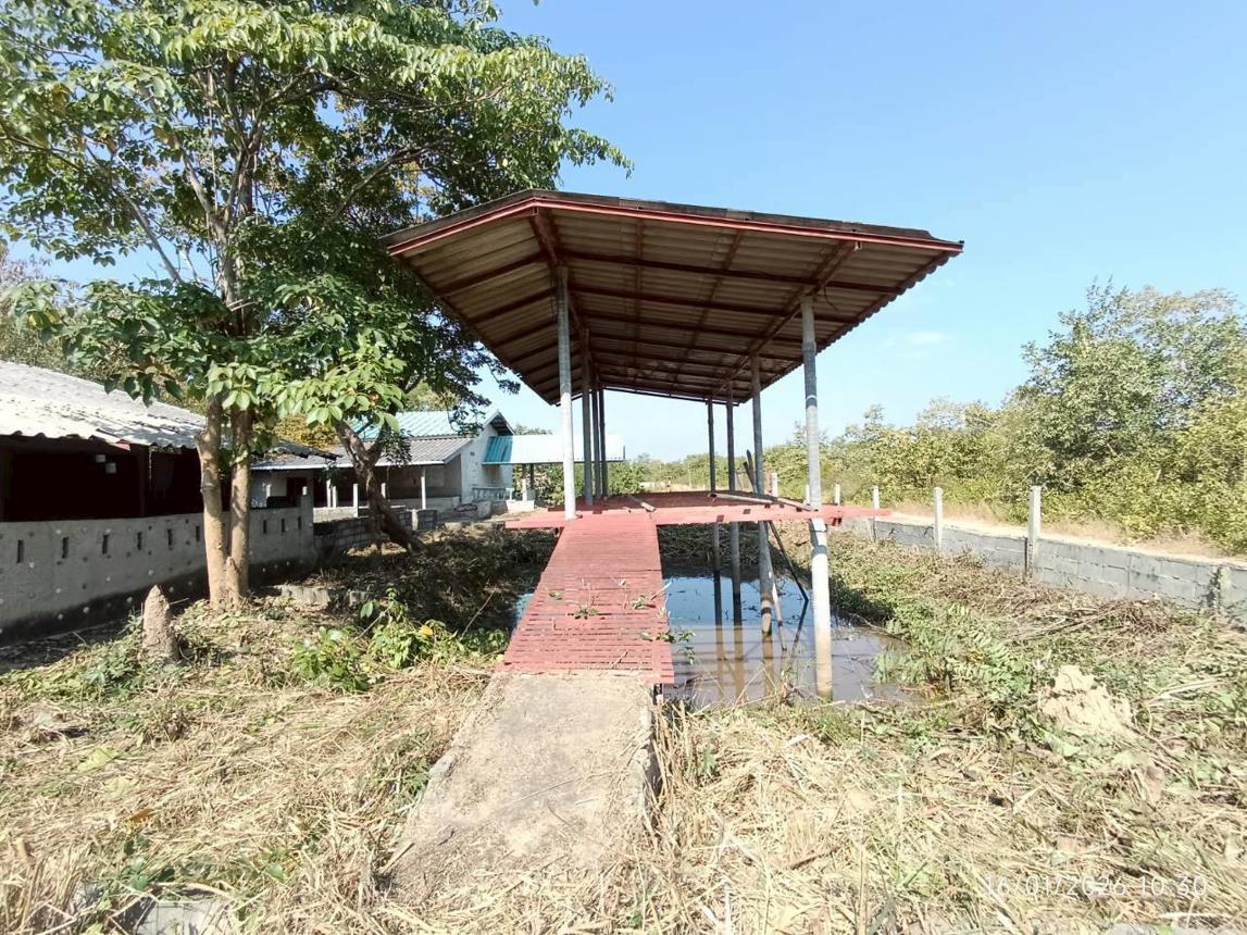 รูป บ้านเดี่ยว 410 ตร.วา ปราณบุรี ประจวบคีรีขันธ์ 1.6M - รูปที่ 36/50