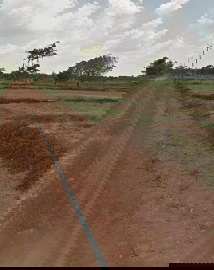 picture For sale: vacant land, good location, beautiful, Ubon Ratchathani - 2/4