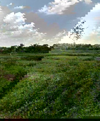Land for sale Ubon Ratchathani : For sale: vacant land, good location, beautiful, Ubon Ratchathani