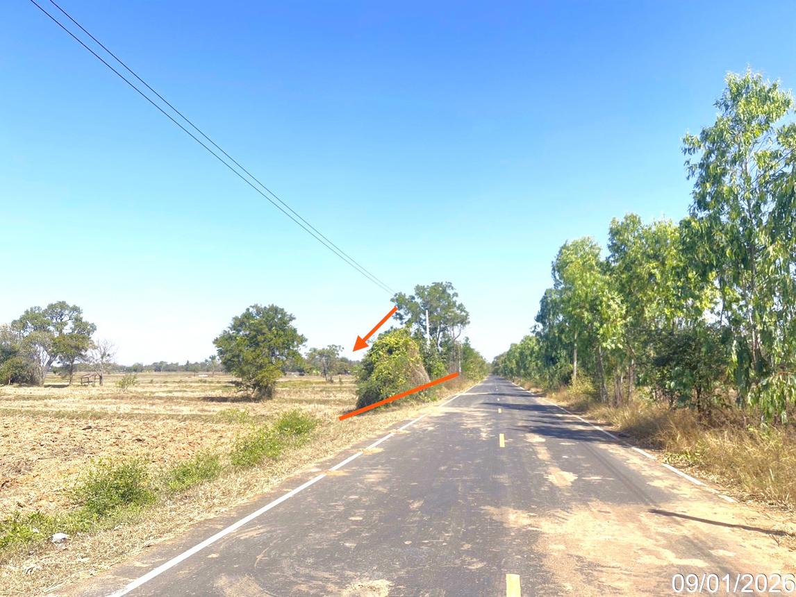 picture LAND 7444 Sq.w. Na Pho Buri Ram for 4.1M - 10/16