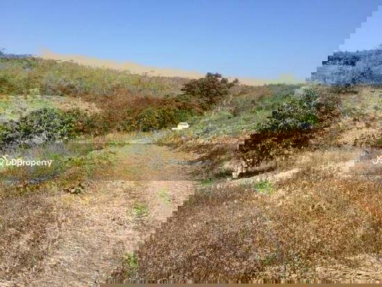 รูป ขายที่ดิน อ.ปาย จ.แม่ฮ่องสอน 12 ไร่ - รูปที่ 2/3