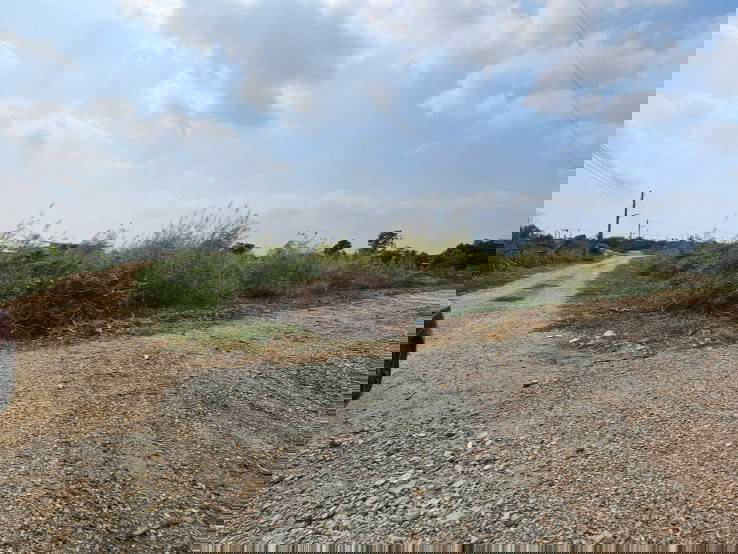 รูป ขายที่ดินเปล่า แปลงมุม  ติดถนน 2 ด้าน ซอยวัดศรีวารีน้อย  อำเภอบางเสาธง สมุทรปราการ - รูปที่ 2/10