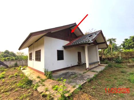 รูป โกดัง 1560.4 ตร.วา บ้านโฮ่ง ลำพูน 5.1M - รูปที่ 19/22