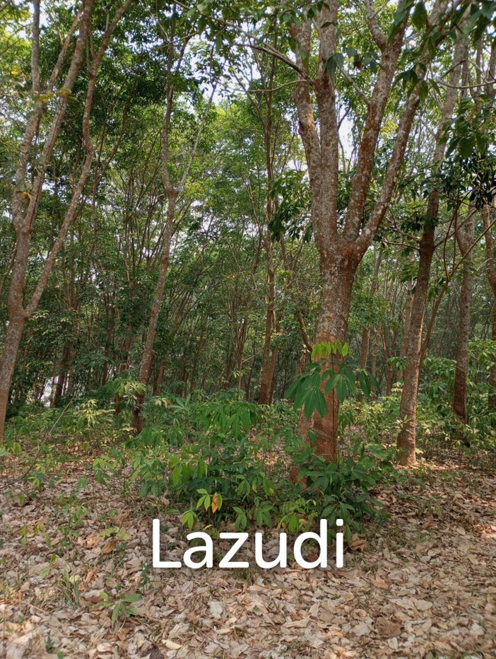 รูป ขายที่ดิน 268 ไร่ติดกับทะเลสาบเชียงแสน ราคาพิเศษ! - รูปที่ 12/16