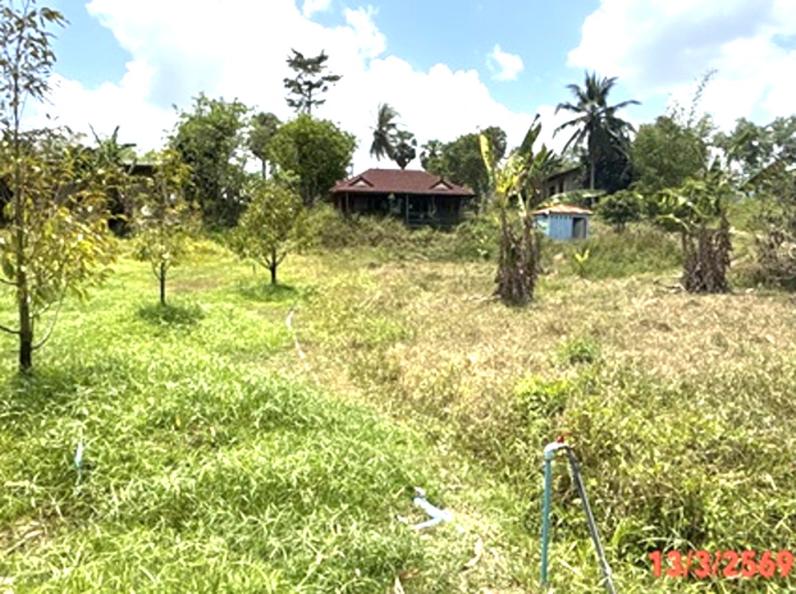 picture LAND 250 Sq.w. Hat Yai Songkhla for 1.9M - 8/16