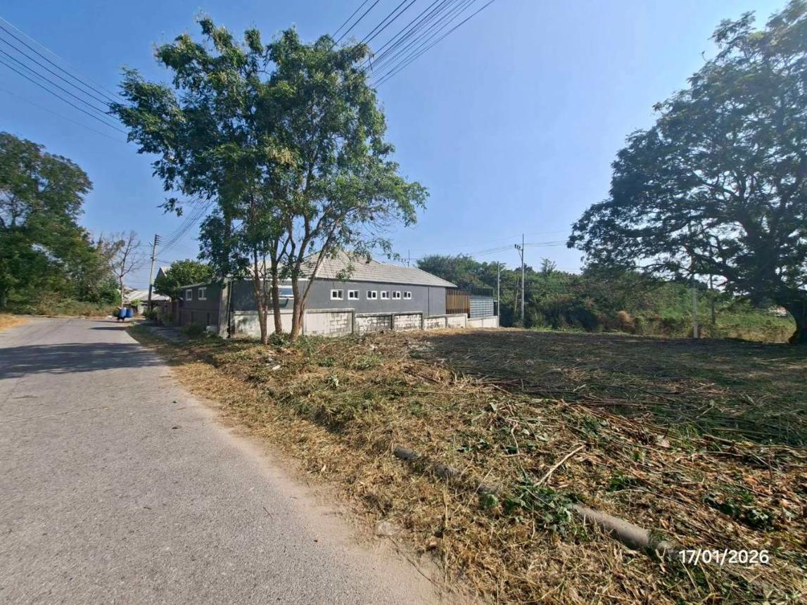 รูป ที่ดินว่างเปล่า 217.6 ตร.วา หัวหิน ไฮแลนด์ ซีวิว หัวหิน ประจวบคีรีขันธ์ 5M - รูปที่ 25/32