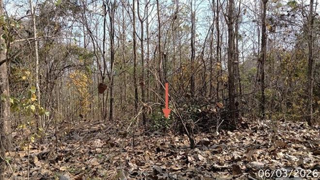 picture LAND 8000 Sq.w. Wang Chin Phrae for 2.1M - 9/22