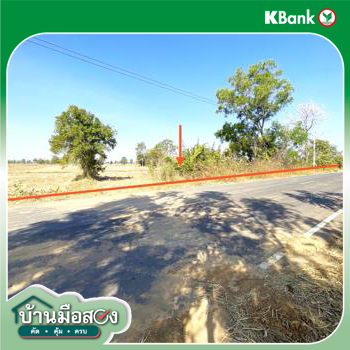 picture LAND 7444 Sq.w. Na Pho Buri Ram for 4.1M - 14/16