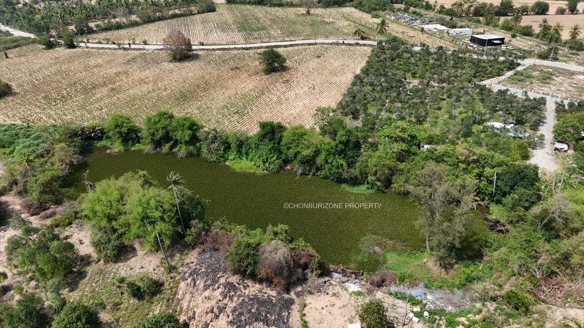 รูป ขายที่ดิน 2 งาน ติดถนน สวนเสือ ศรีราชา - รูปที่ 5/9