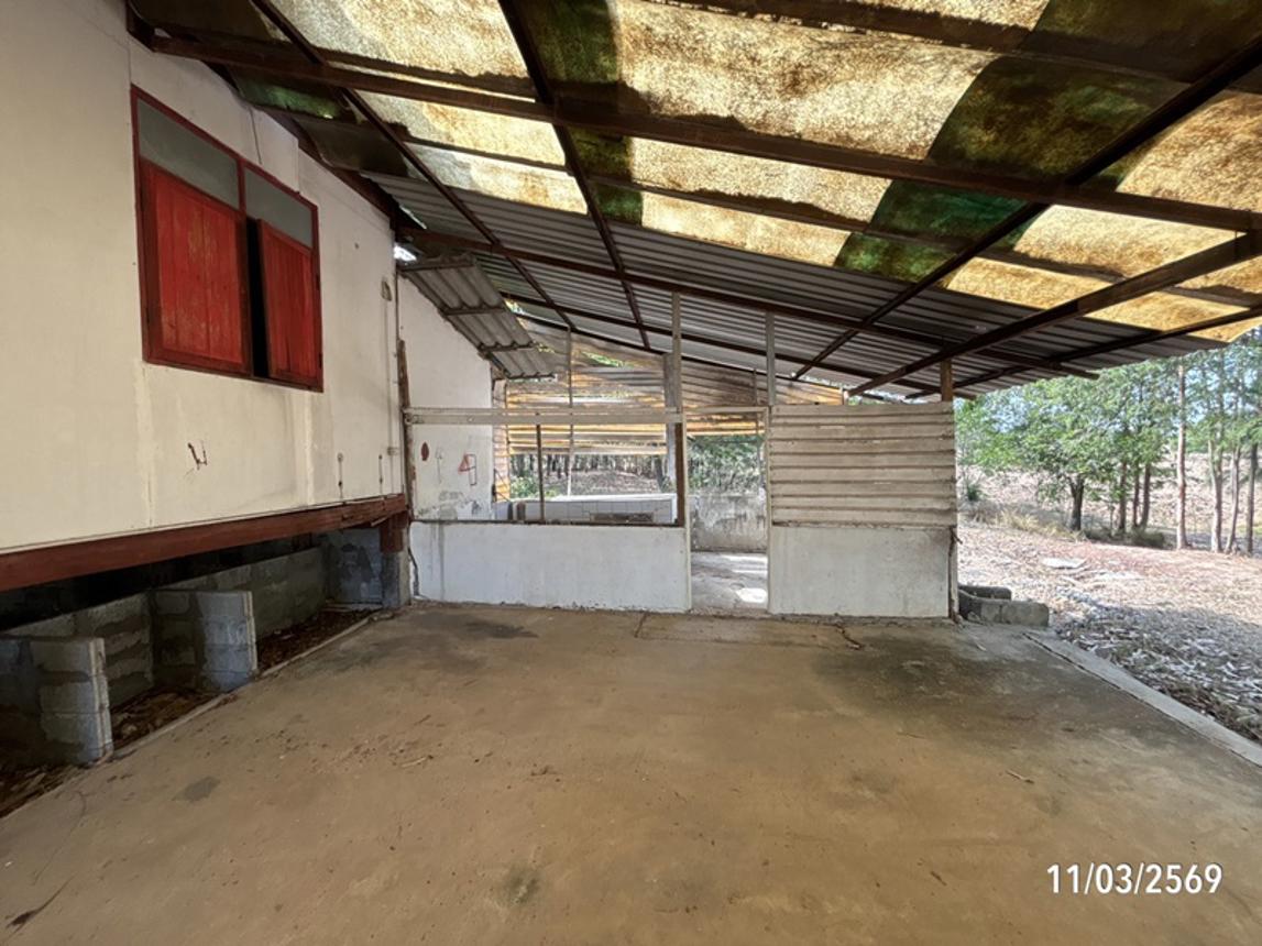 รูป บ้านเดี่ยว 3759 ตร.วา พิมาย นครราชสีมา 1.9M - รูปที่ 17/26