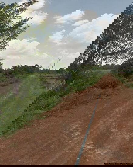 picture For sale: vacant land, good location, beautiful, Ubon Ratchathani - 3/4