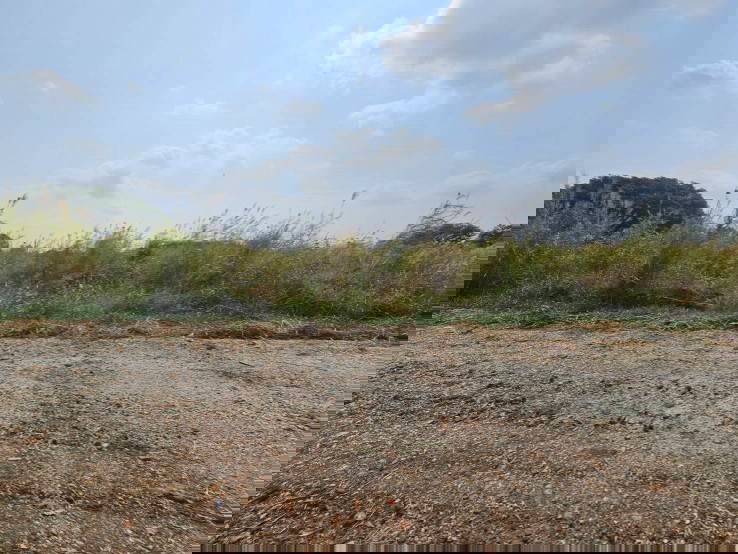 รูป ขายที่ดินเปล่า แปลงมุม  ติดถนน 2 ด้าน ซอยวัดศรีวารีน้อย  อำเภอบางเสาธง สมุทรปราการ - รูปที่ 6/10