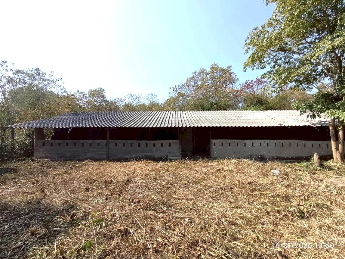 รูป บ้านเดี่ยว 410 ตร.วา ปราณบุรี ประจวบคีรีขันธ์ 1.6M - รูปที่ 37/50