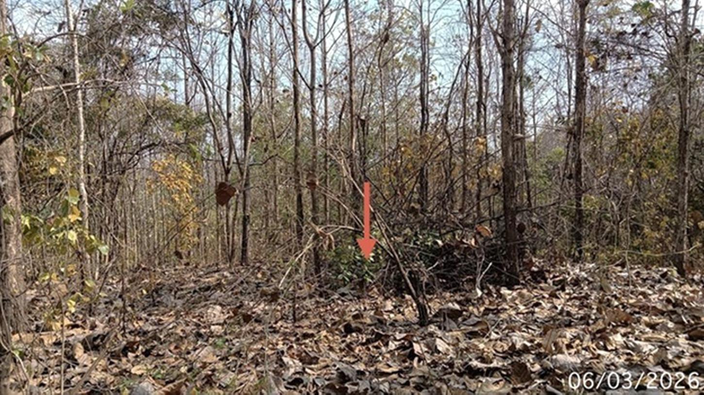 picture LAND 8000 Sq.w. Wang Chin Phrae for 2.1M - 18/22