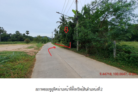 ที่ดินว่างเปล่า 191.4 ตร.วา เกาะสมุย สุราษฎร์ธานี เกาะสมุย สุราษฎร์ธานี 3.7M