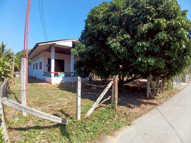 รูป บ้านเดี่ยว 185 ตร.วา ดอยเต่า เชียงใหม่ 1.3M - รูปที่ 2/34