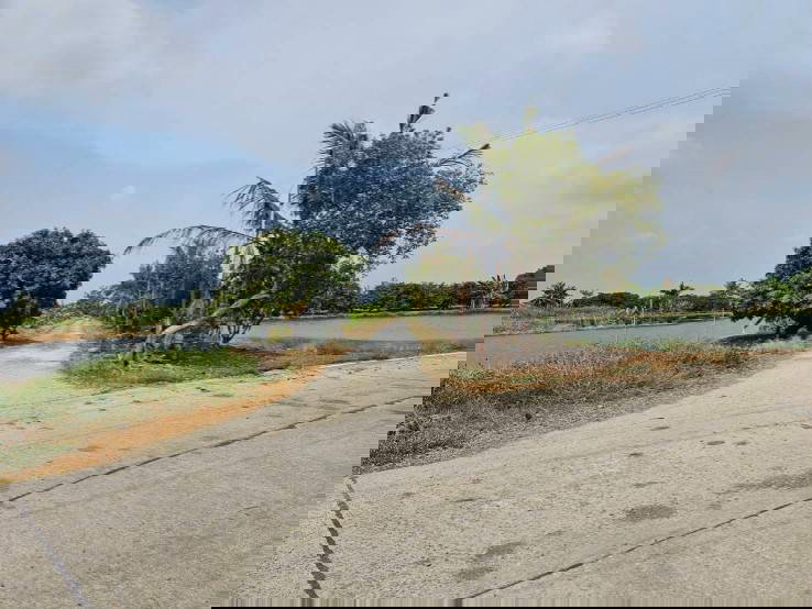 รูป ขายที่ดินเปล่า แปลงมุม  ติดถนน 2 ด้าน ซอยวัดศรีวารีน้อย  อำเภอบางเสาธง สมุทรปราการ - รูปที่ 9/10