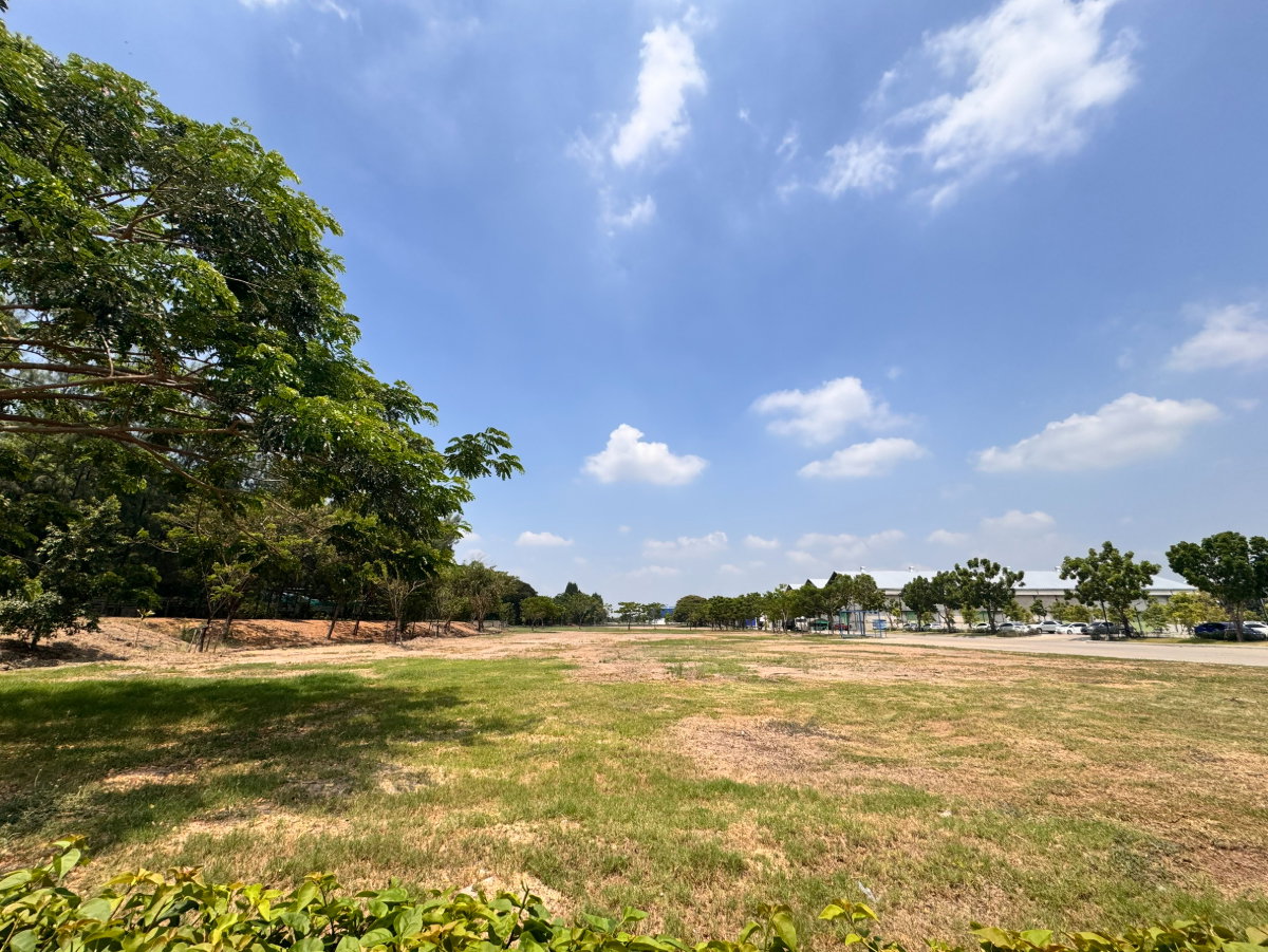 รูป ให้เช่าที่ดิน 12 ไร่ใกล้แม่น้ำเจ้าพระยา จ.ปทุมธานี - รูปที่ 3/4