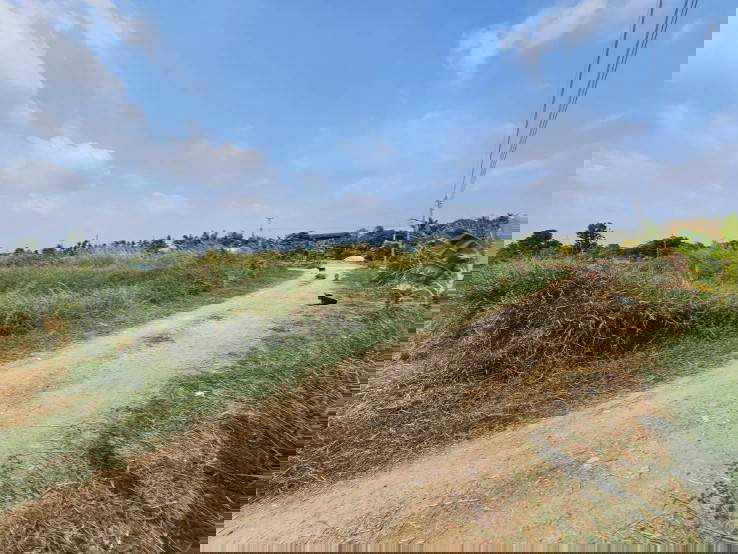 รูป ขายที่ดินเปล่า แปลงมุม  ติดถนน 2 ด้าน ซอยวัดศรีวารีน้อย  อำเภอบางเสาธง สมุทรปราการ - รูปที่ 8/10