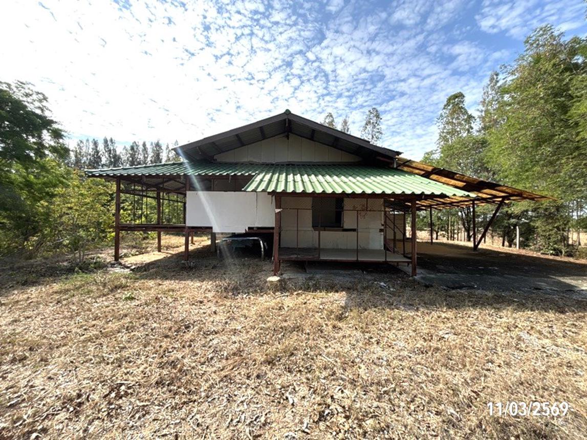 รูป บ้านเดี่ยว 3759 ตร.วา พิมาย นครราชสีมา 1.9M - รูปที่ 14/26